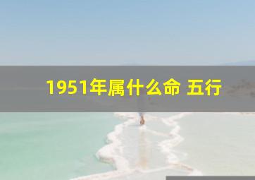 1951年属什么命 五行